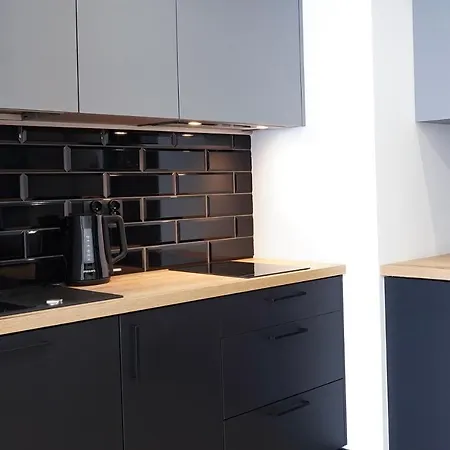 公寓 Stylchyn 90 Nad Jeziorem Czorsztynskim